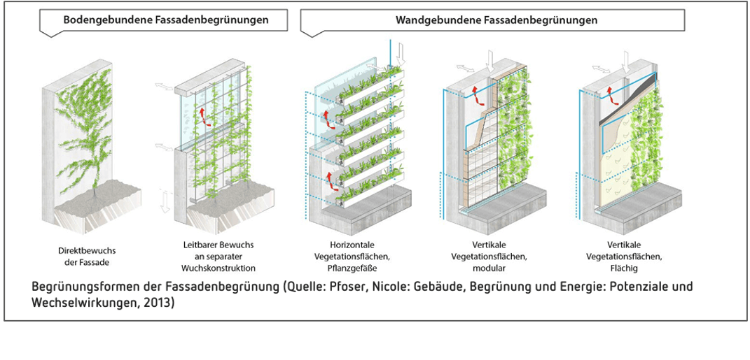 Besseres Klima durch bepflanzte Fassaden