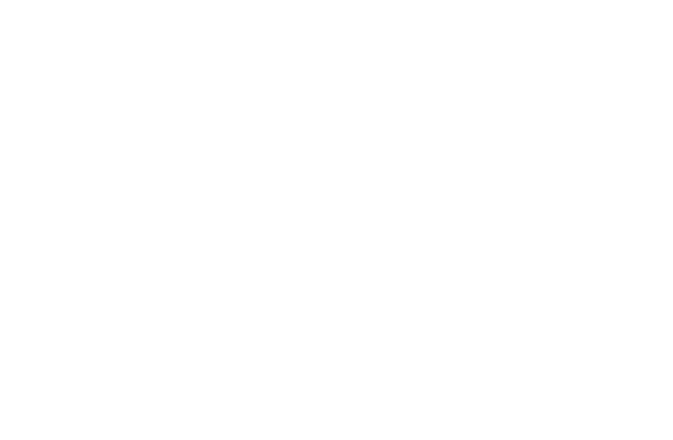 RAL simplyExcellent Logo